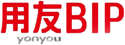 用友 BIP